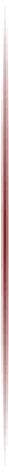 ZyWeb